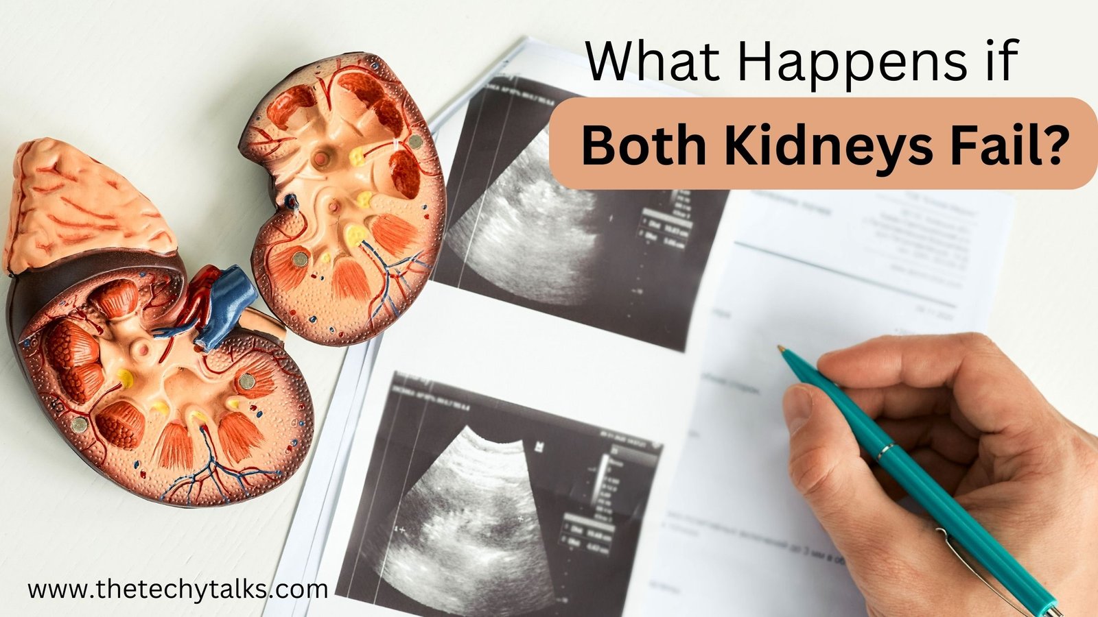 What happens if both kidneys fail
