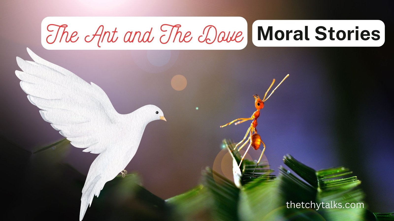 The Ant and The Dove