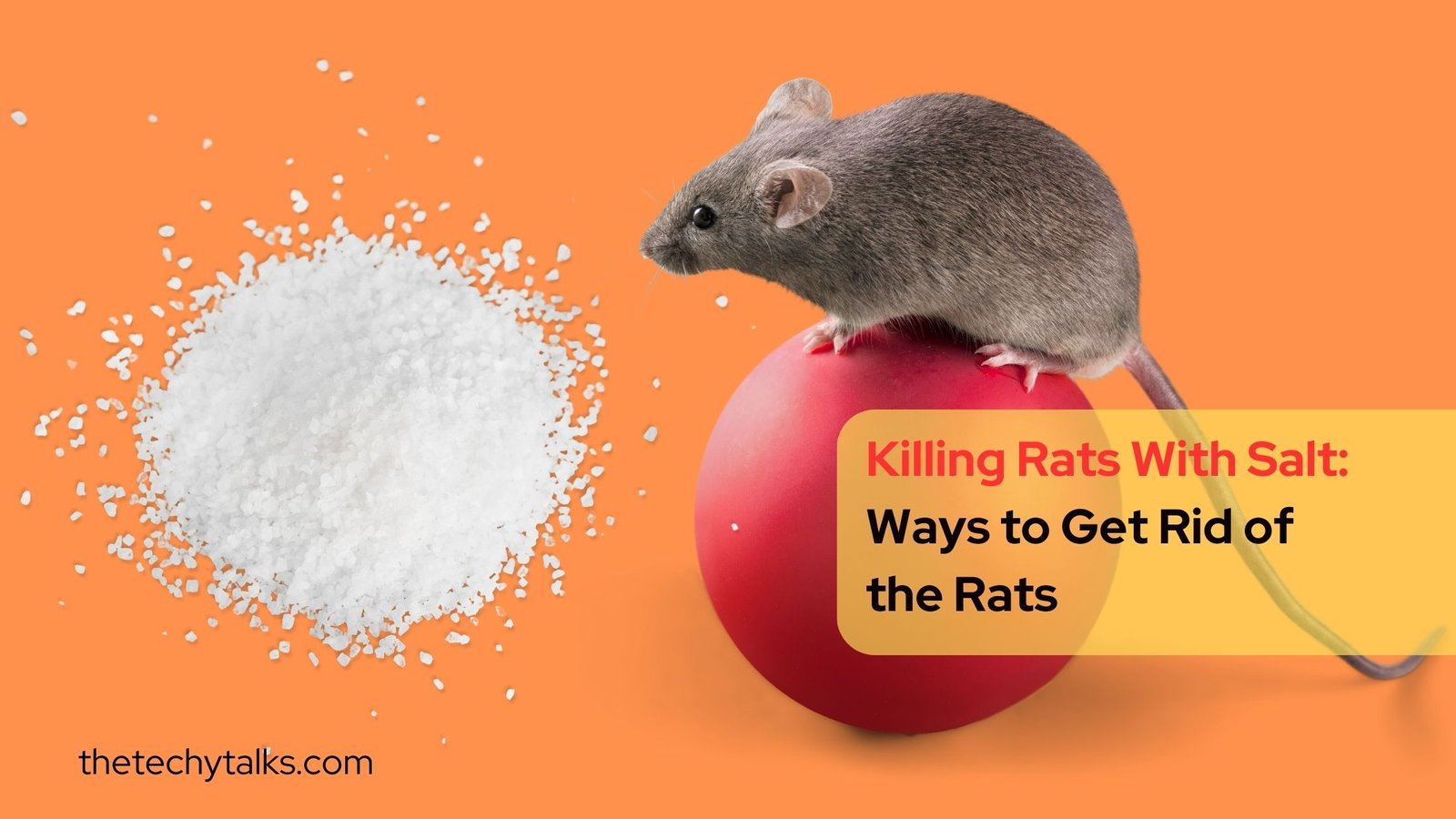 Killing Rats With Salt