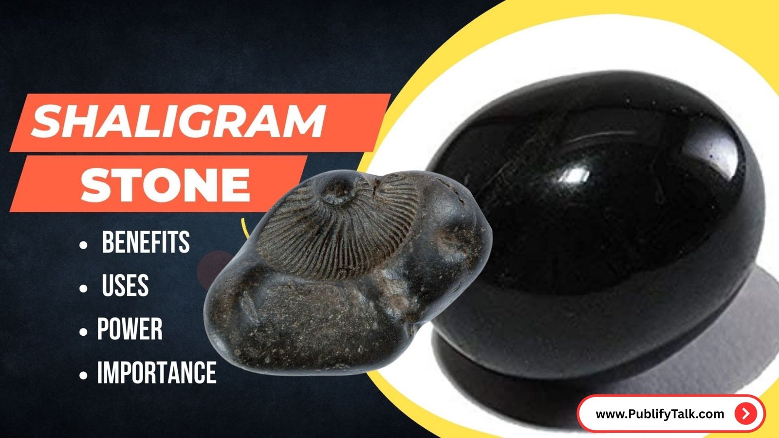 Shaligram Stone Benefits