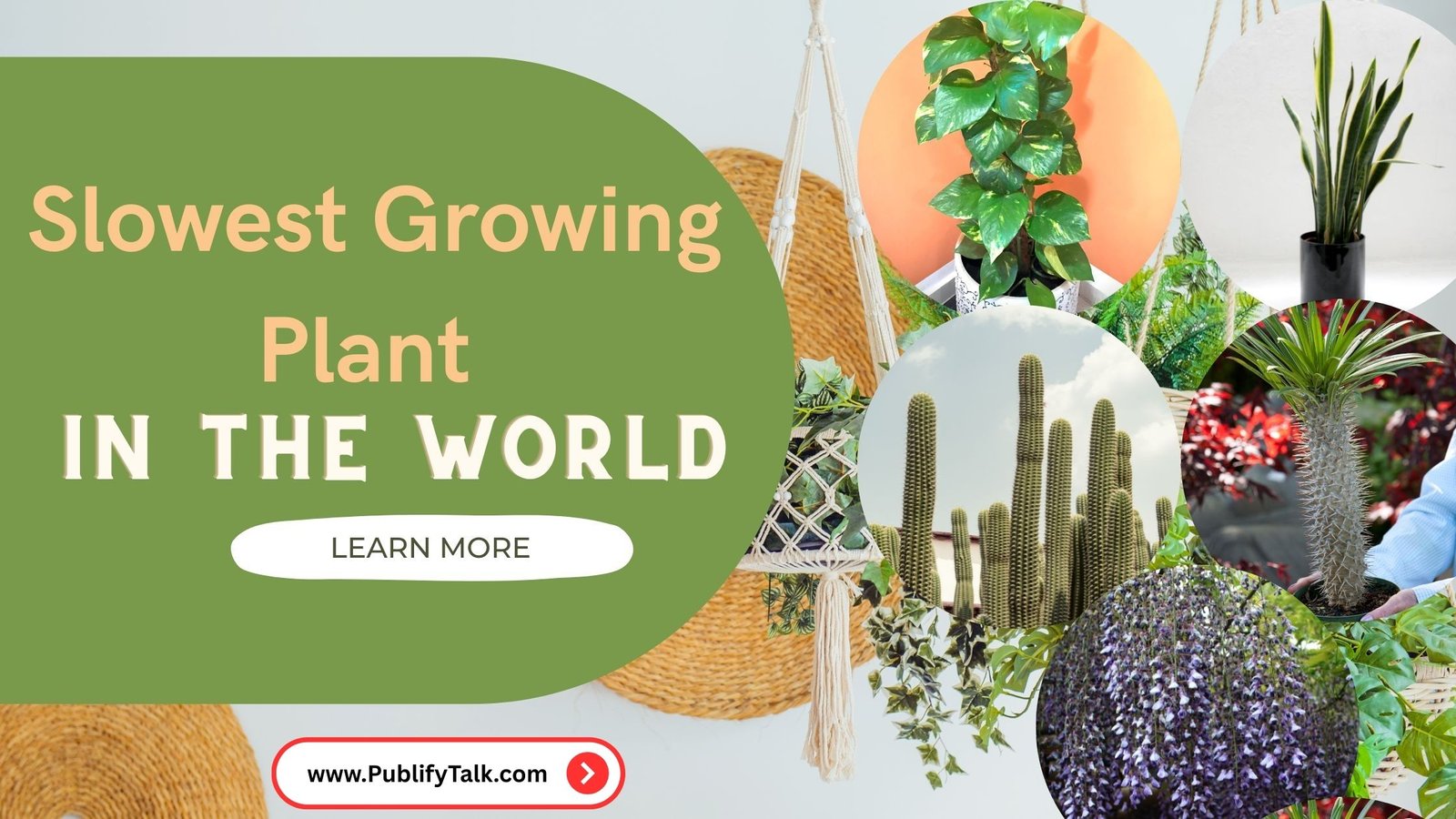 Slowest Growing Plant In The World