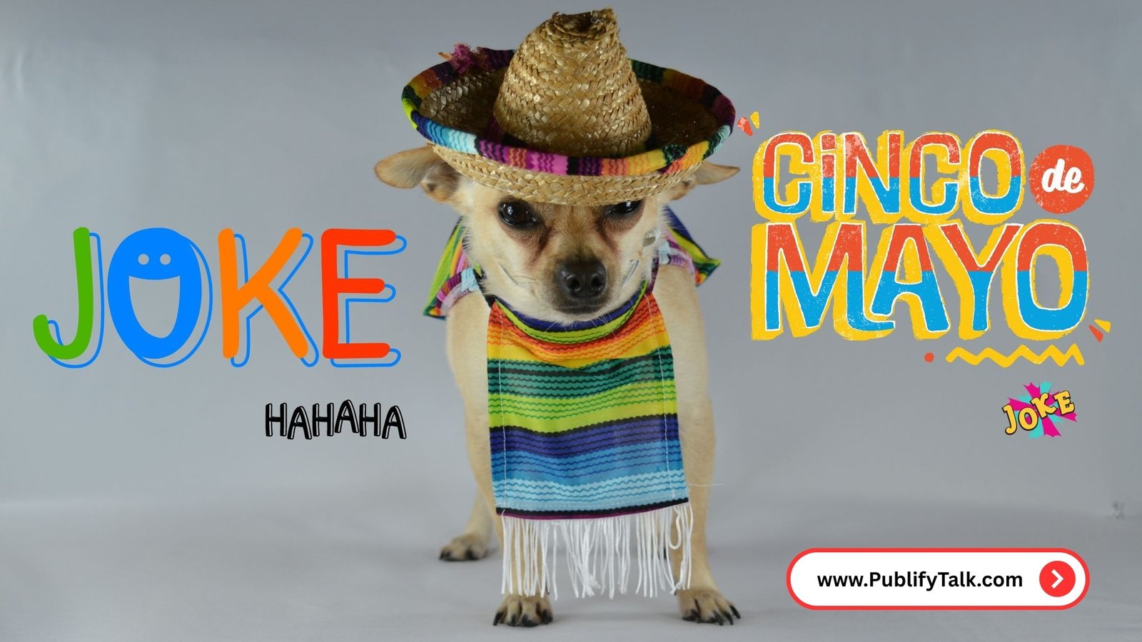 Cinco De Mayo jokes