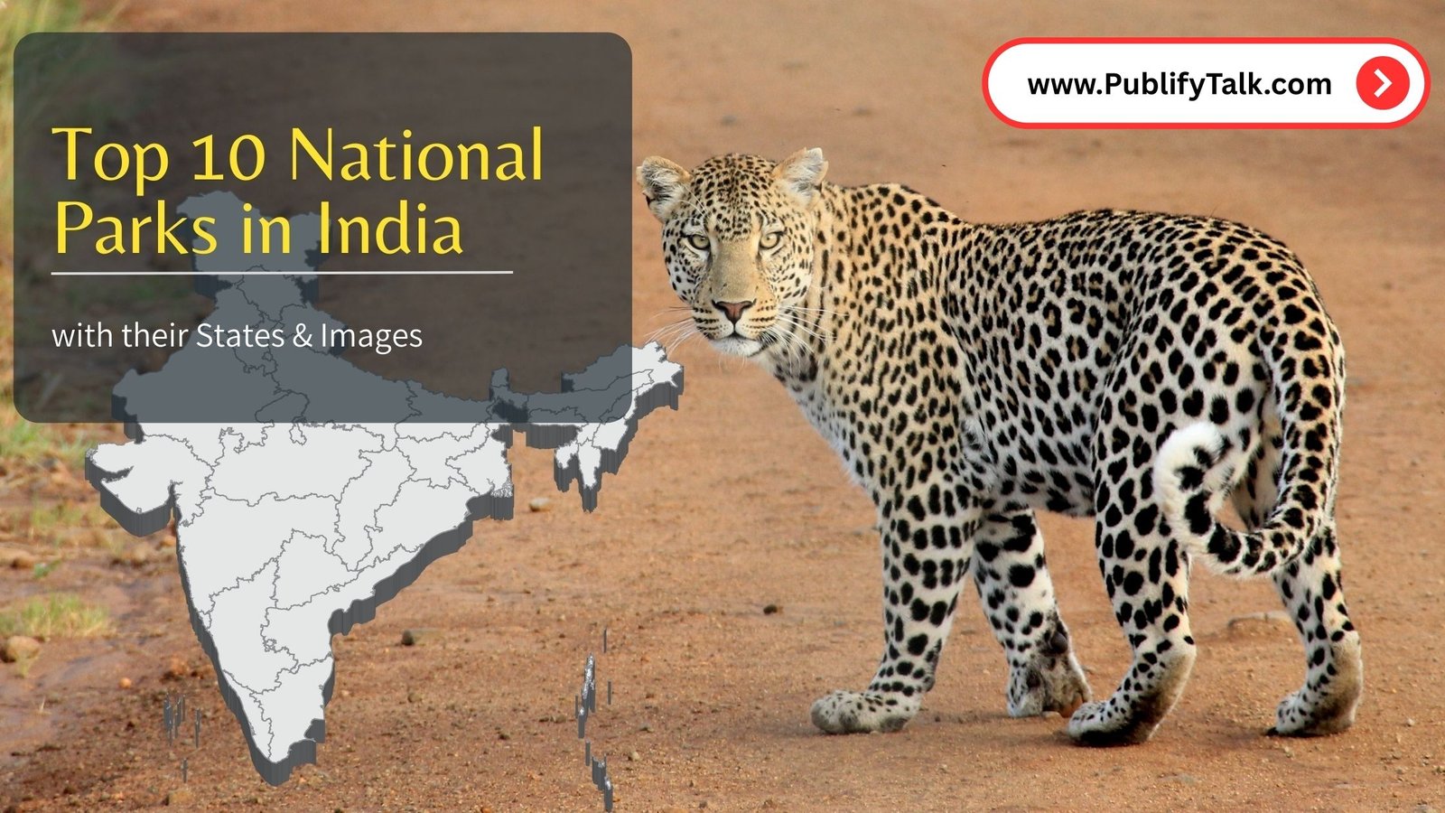 Top 10 National Parks in India