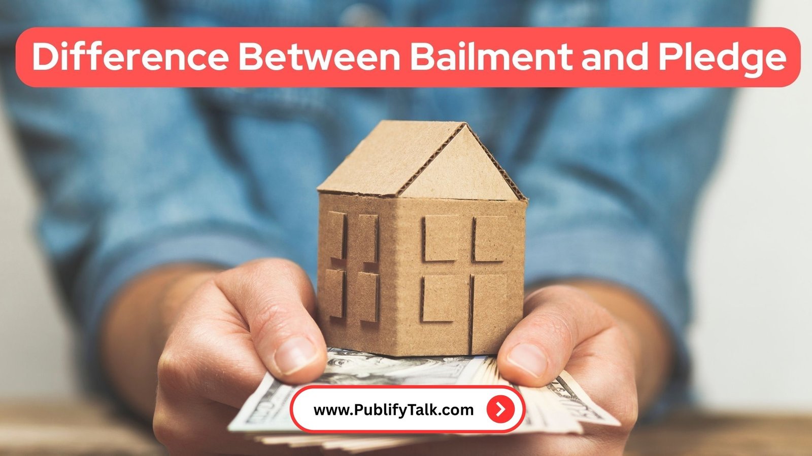 What is The Difference Between Bailment and Pledge