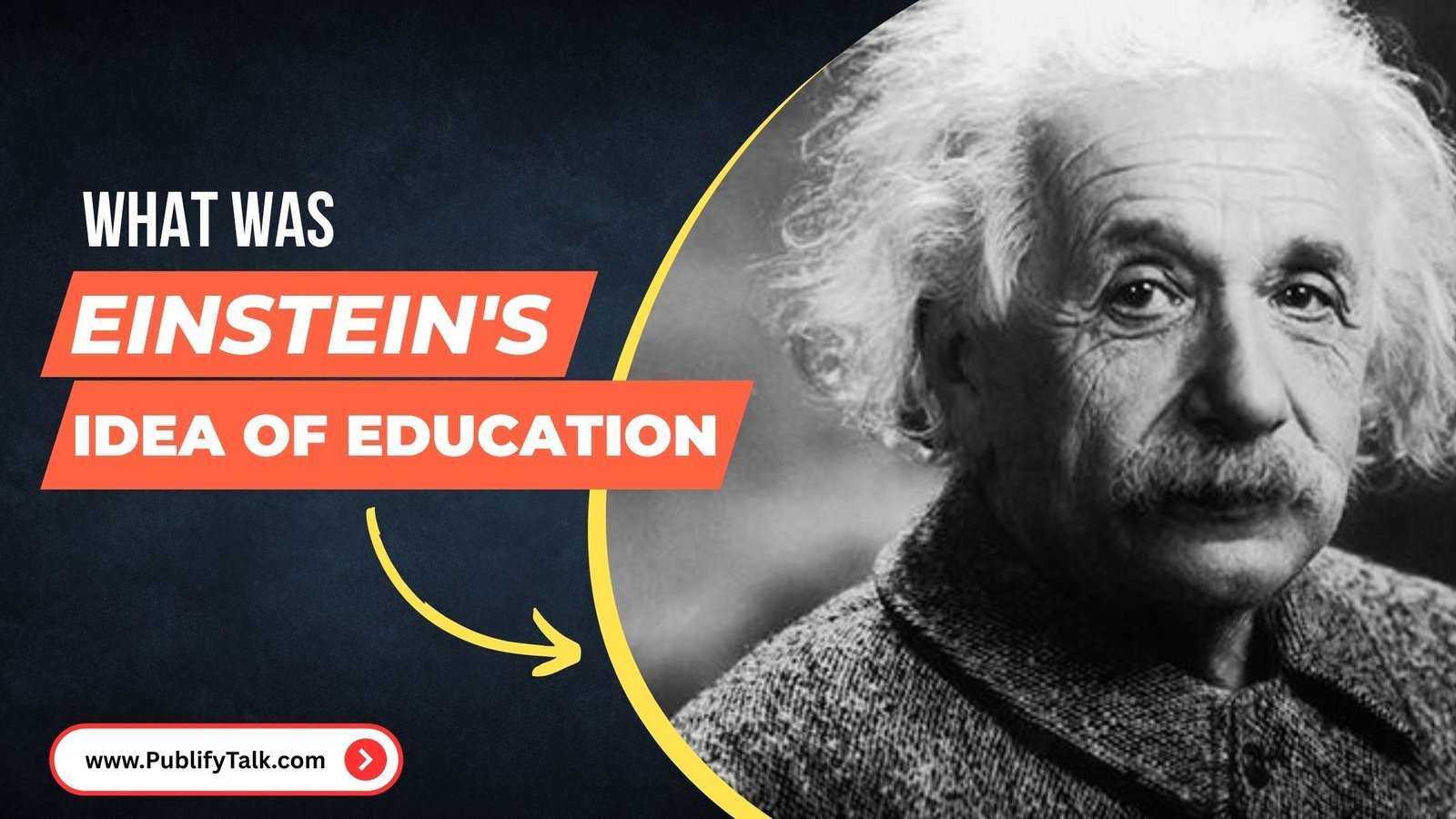 What Was Einstein's Idea of Education?